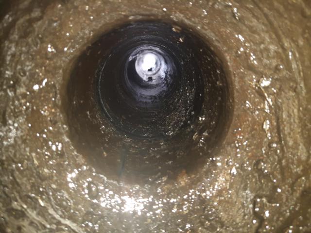20180728_123251.JPG